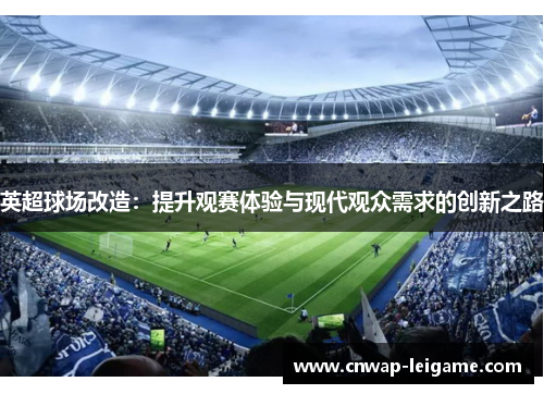 英超球场改造：提升观赛体验与现代观众需求的创新之路