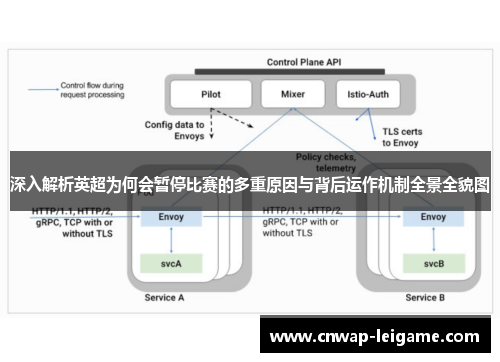 深入解析英超为何会暂停比赛的多重原因与背后运作机制全景全貌图