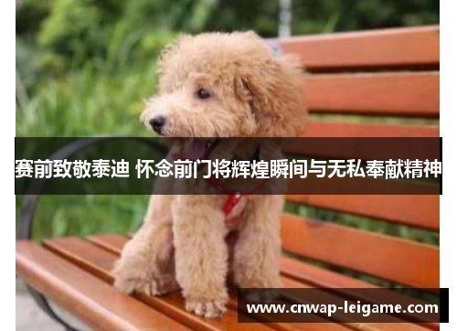 赛前致敬泰迪 怀念前门将辉煌瞬间与无私奉献精神