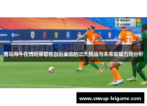 青岛海牛在博阿基耶告别后面临的三大挑战与未来发展方向分析