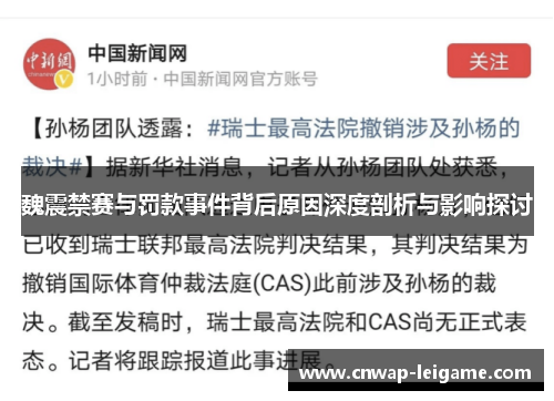 魏震禁赛与罚款事件背后原因深度剖析与影响探讨