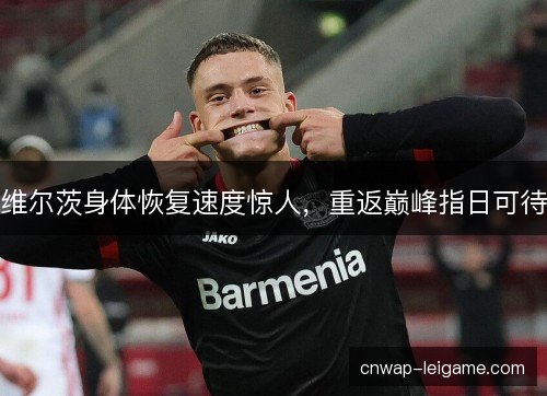维尔茨身体恢复速度惊人,重返巅峰指日可待 维尔茨身体恢复速度惊人,重返巅峰指日可待